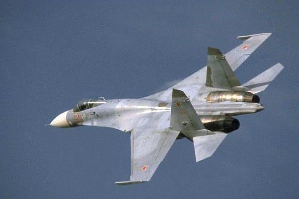 su 27(1)